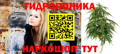 твердый Донецк